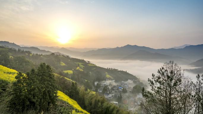 皖南黄山日出油菜花