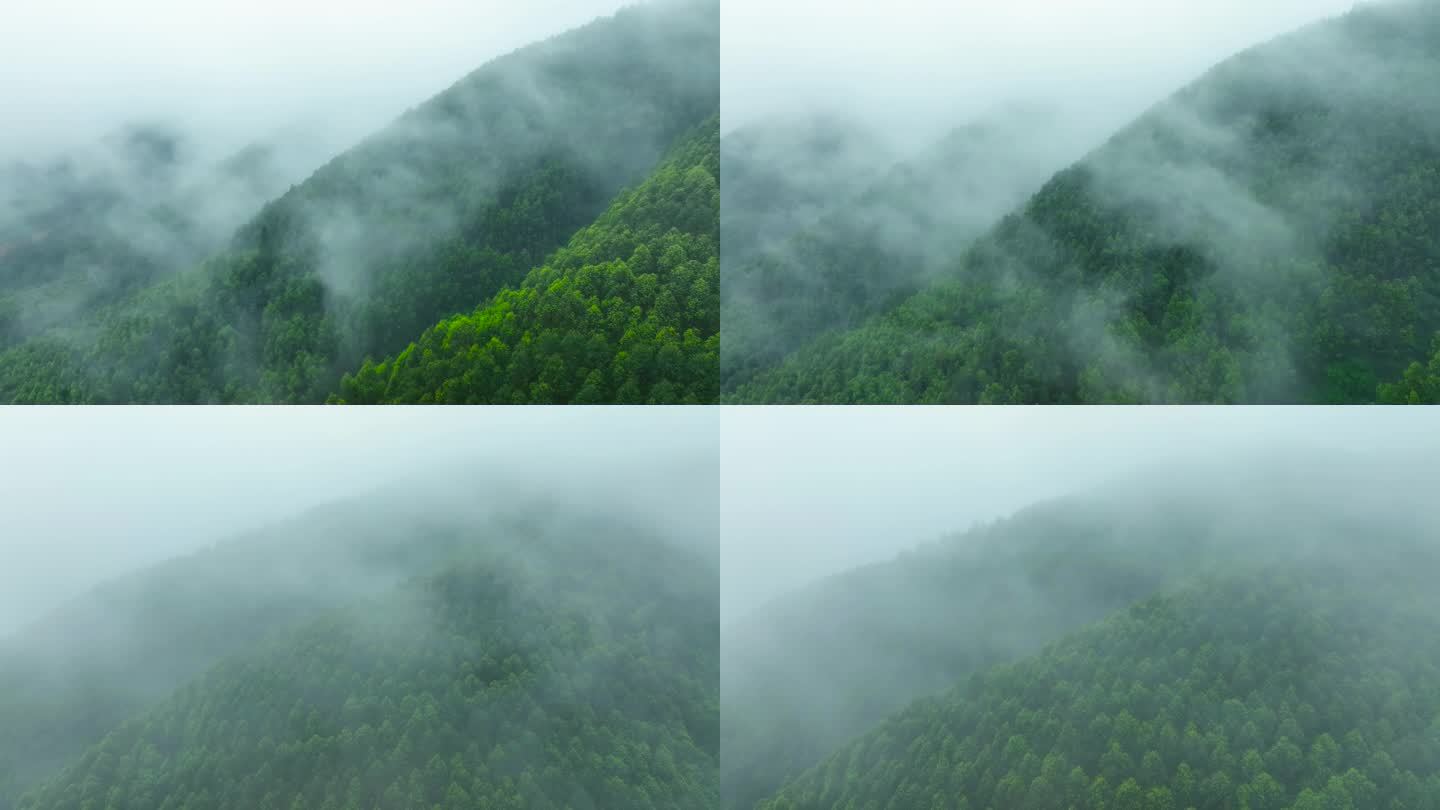航拍迷雾山林
