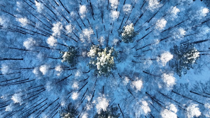 旋转升降俯拍雾凇雪景