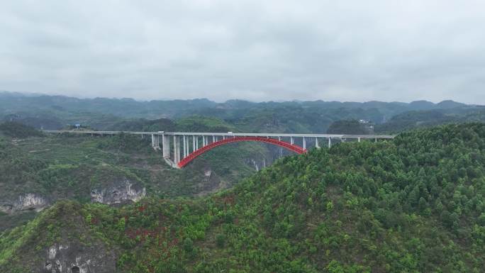 大桥 深林植被 贵州纳雍总溪河大桥