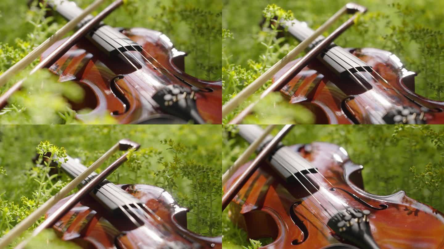 4k小提琴唯美梦幻素材