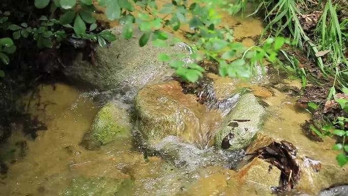 天然泉水 大自然水源 小溪山泉水流原生态