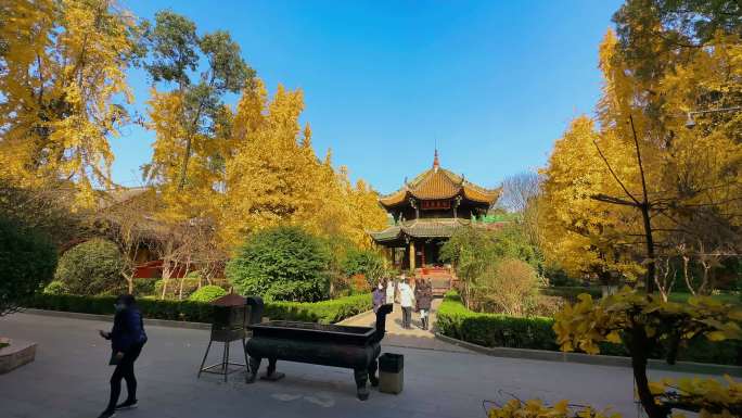 成都寺院寺庙延时集合