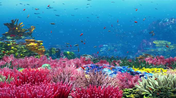 海洋海底世界4K大屏幕