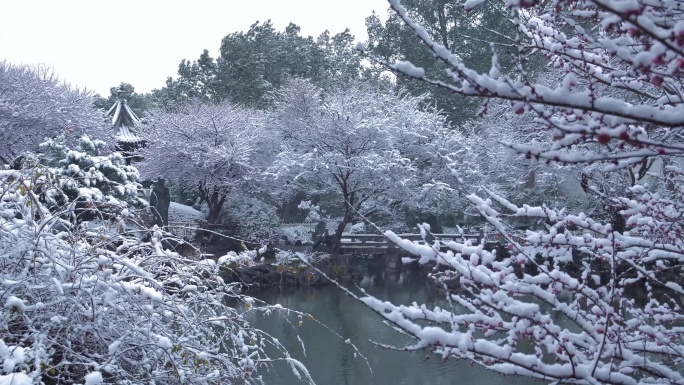 临海东湖雪景4k