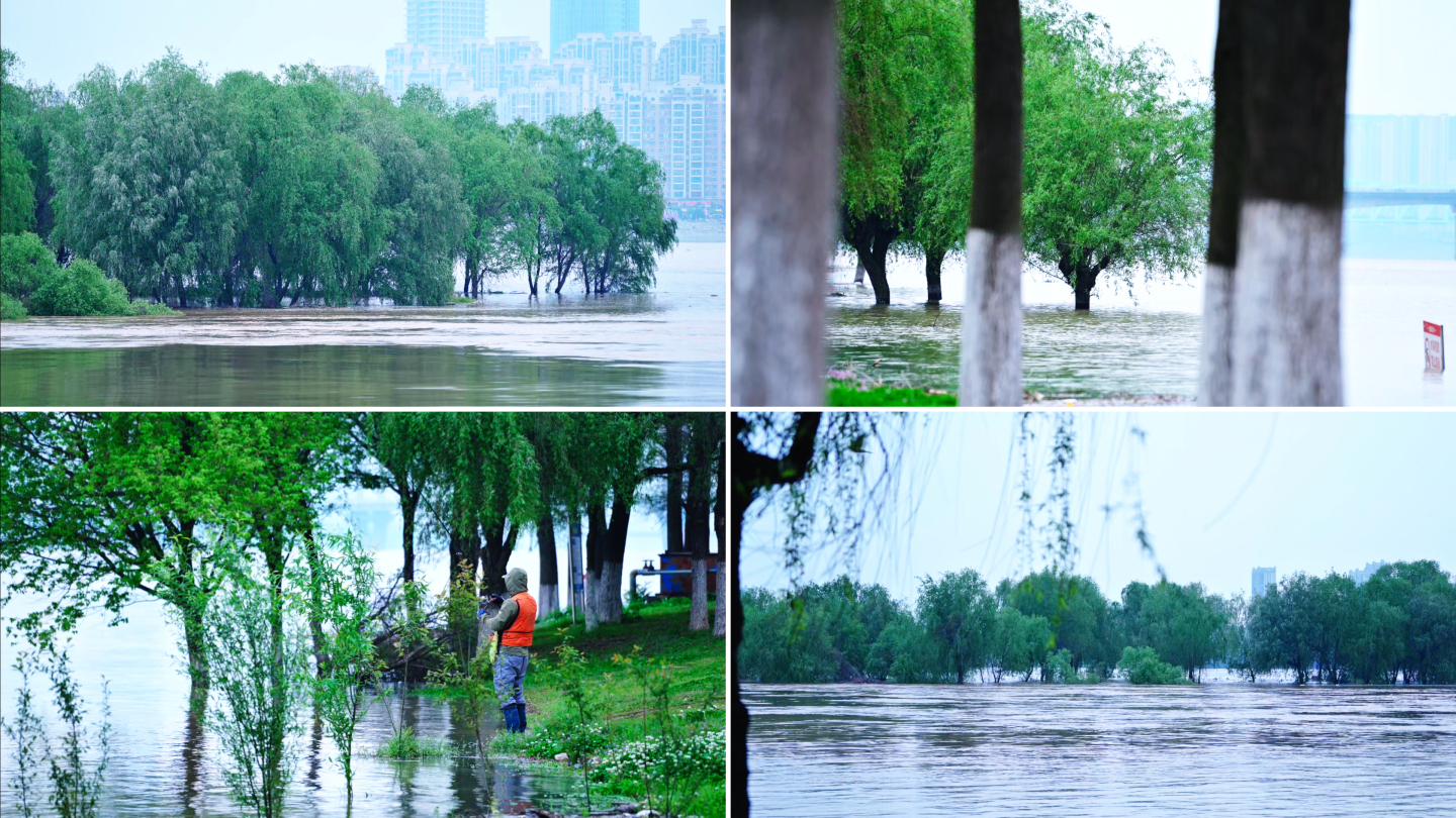 实拍暴雨洪水水灾泛滥