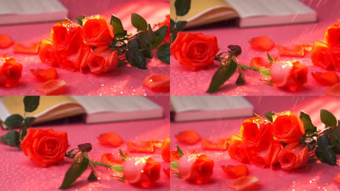 4K鲜艳的红玫瑰 阳光 书本 洒水打湿