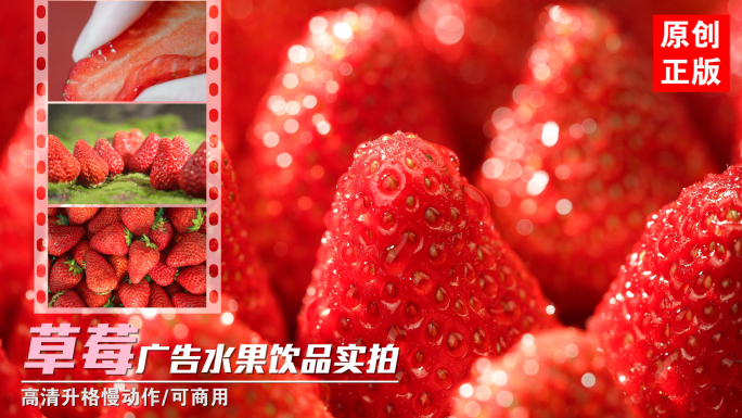 新鲜有机丹东草莓水果店包装鲜果广告实拍