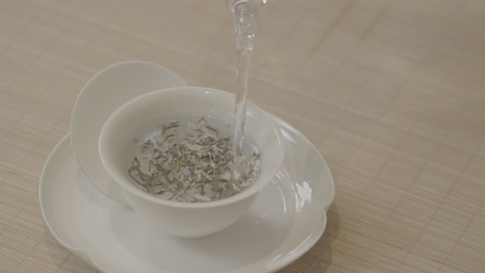 茶社茶馆空镜沏茶玻璃杯