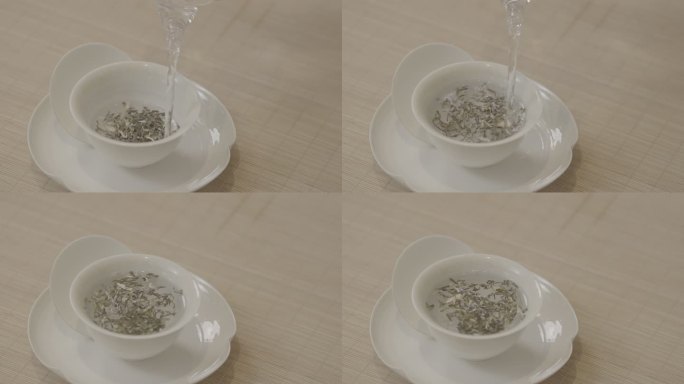 茶社茶馆空镜沏茶玻璃杯