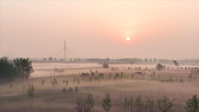 滹沱河生态环境