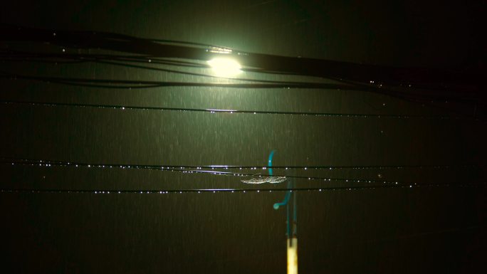 实拍雨夜路灯电线
