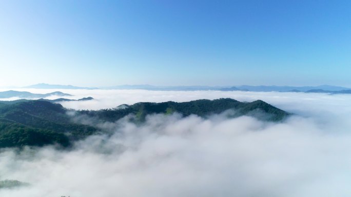 高山云海