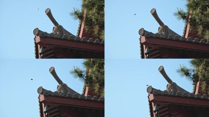 中式建筑屋檐风铃唐代建筑嘉定南翔云翔寺