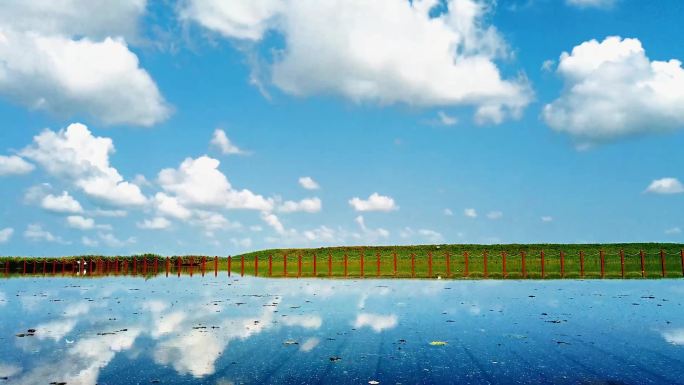 扎龙自然保护区观鹤平台水天一色