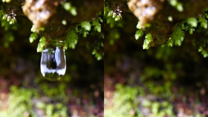 水水滴滴水视频