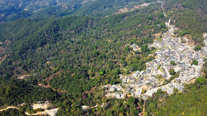 景迈山非遗景洪大寨云南普洱茶航拍古寨建筑