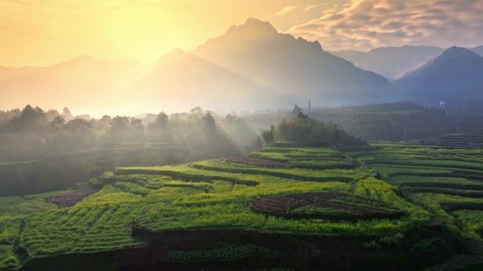 山间 大山 阳光 清晨 晨雾 梯田