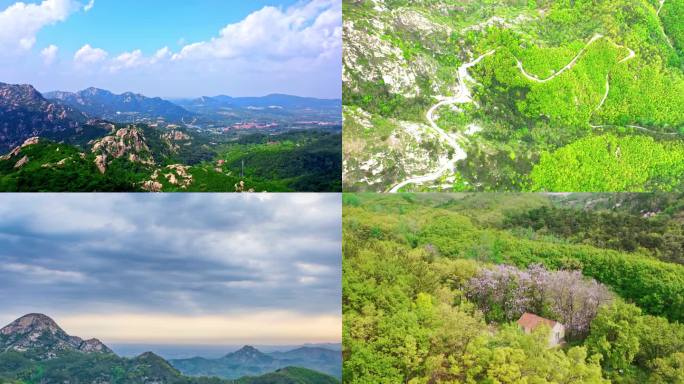 青山绿水 大自然 春天上春山