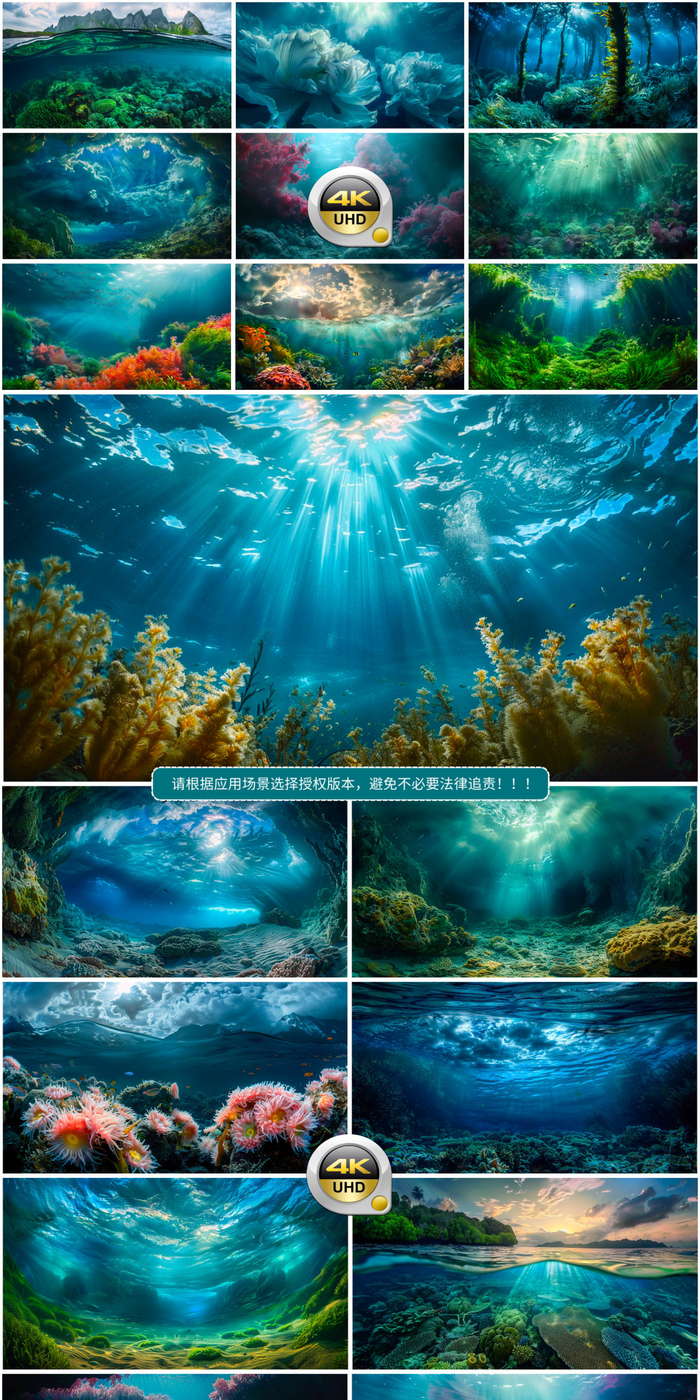唯美海底风景 自然风景 海洋生态