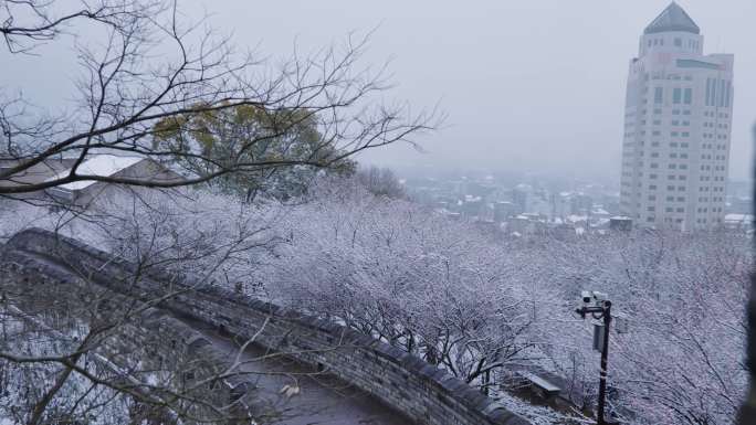 台州府城雪景