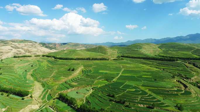 梯田航拍，山区村庄