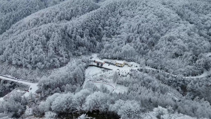 森林雪景