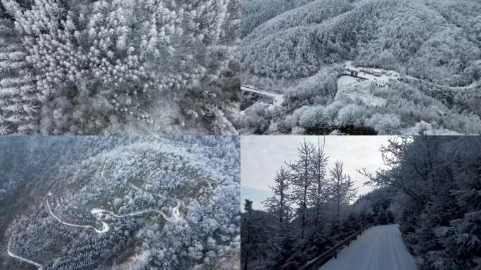 森林雪景