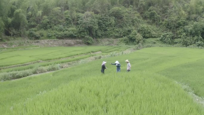 村民农村打架争议争吵争执争夺纠纷吵架航拍