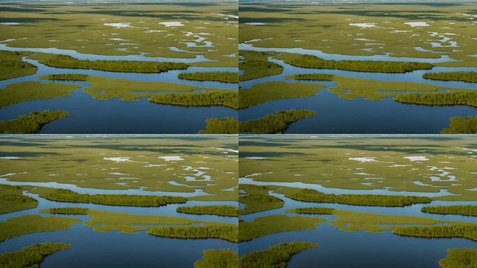 佛罗里达州美丽的大沼泽地鸟瞰图