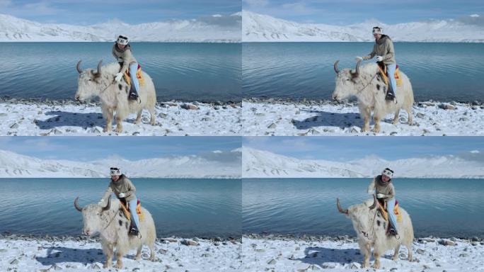 雪山湖泊蓝天白云美女坐在牦牛上8K实拍