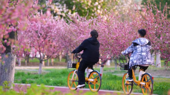 公园骑行 自行车赛道 公园塑胶跑道 悠闲