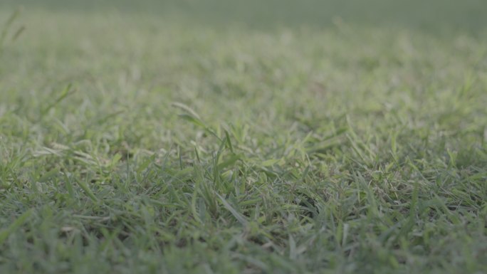 奥森 北京空镜 玩耍 儿童 草地