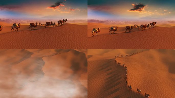 丝绸之路  沙漠骆驼  沙丘 穿越沙漠