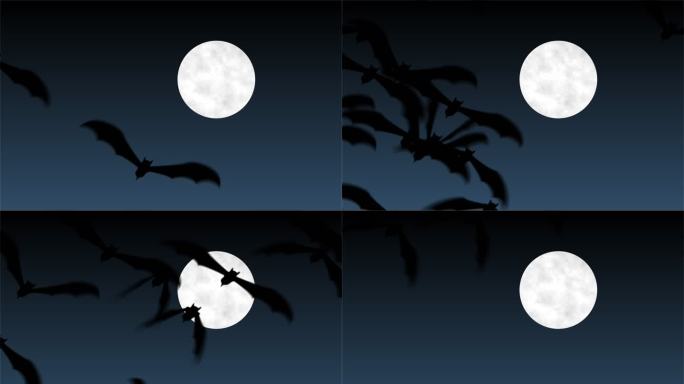 蝙蝠飞过圆月