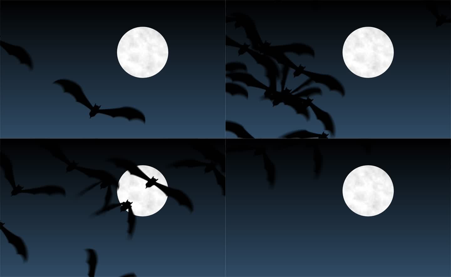 蝙蝠飞过圆月