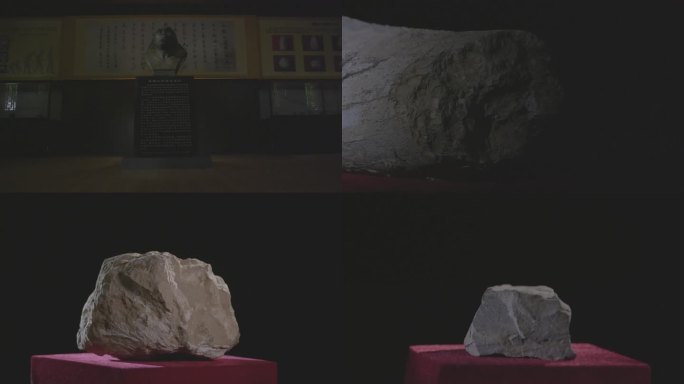 蓝田猿人古化石展示
