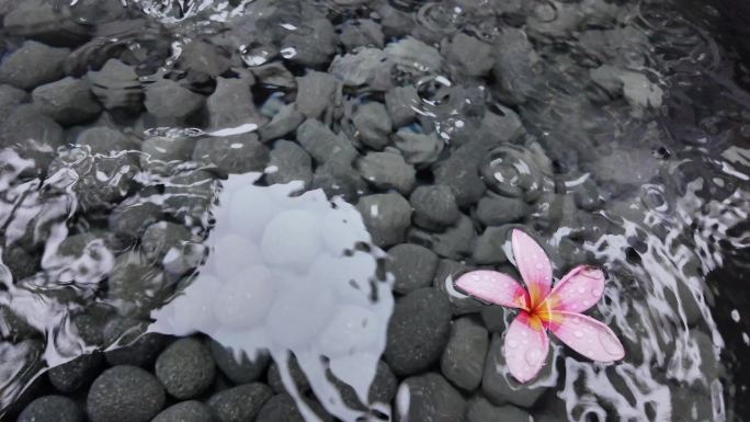 漂在水中的鸡蛋花慢镜头 小溪边的绽放