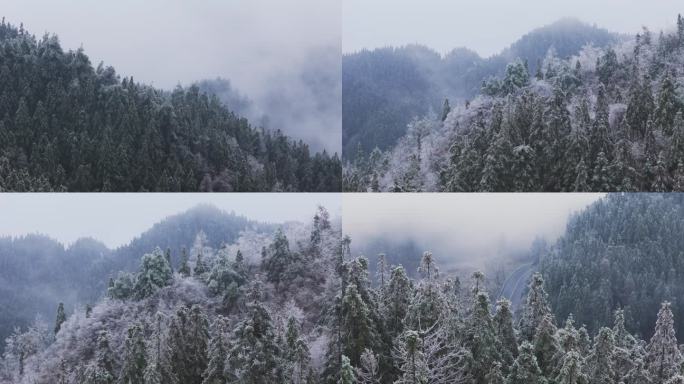 航拍大气森林雾凇雪景