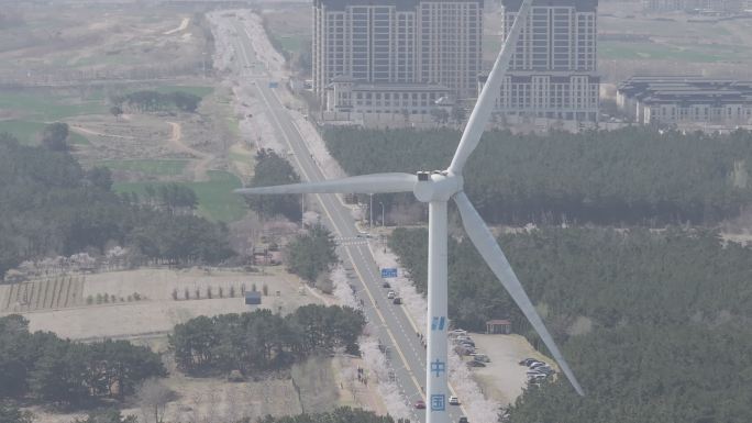 航拍威海市经区海悦路樱花大道樱花盛开