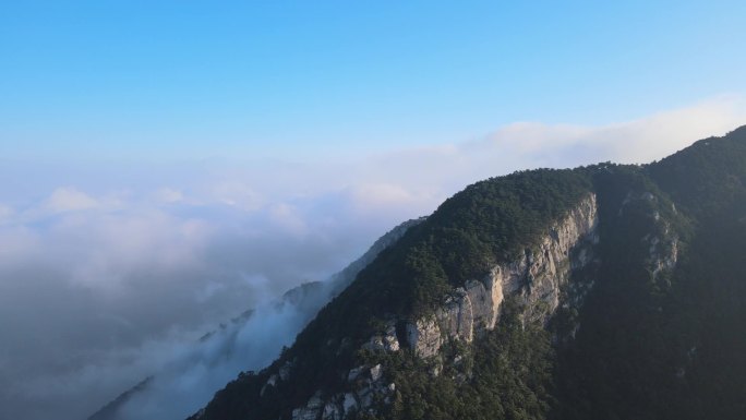 江西九江庐山清晨风光云海唯美