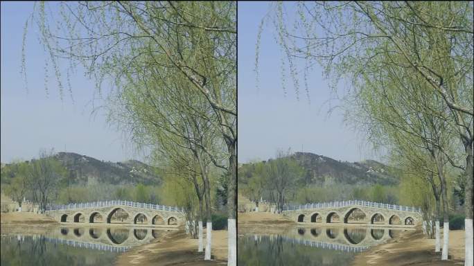 短视频背景竖屏水边有桥