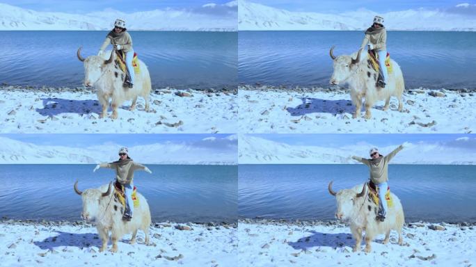雪山湖泊蓝天白云美女坐在牦牛上8K实拍