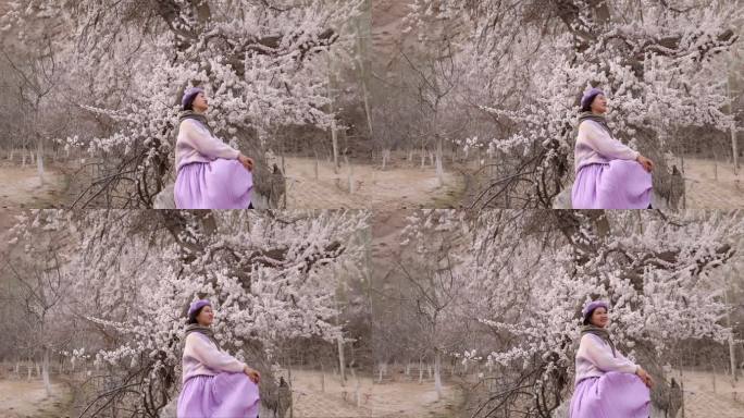 美女坐在杏花树上休息唯美意境新疆旅行