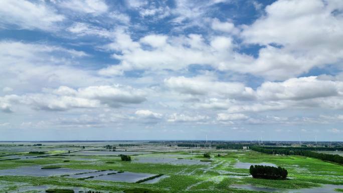 航拍江苏淮安金湖白马湖湿地公园