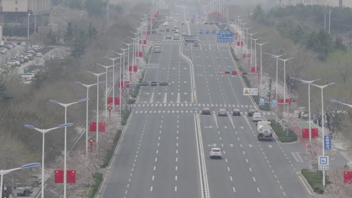 航拍威海高区世昌大道樱花大道春季景观