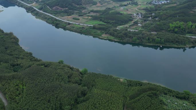 江河大地山丘丘陵地貌树林树木绿色风景