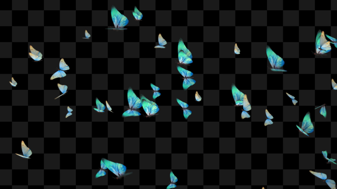 9款蓝色蝴蝶粒子4K透明通道素材
