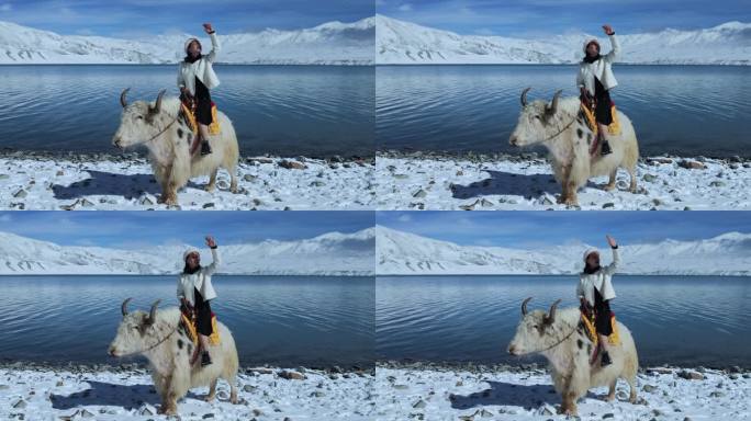 雪山湖泊蓝天白云美女坐在牦牛上