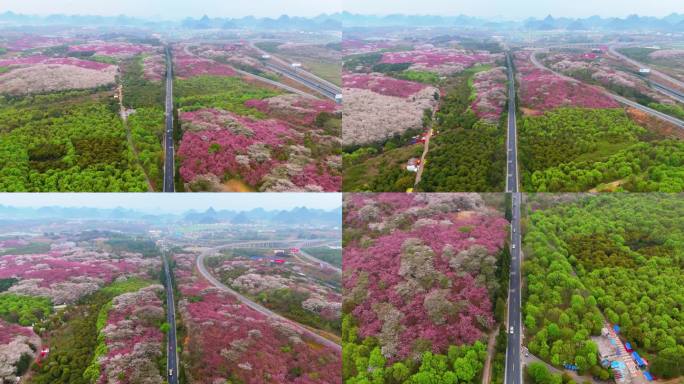 贵州清镇 红枫湖 右二花海 最美公路 2